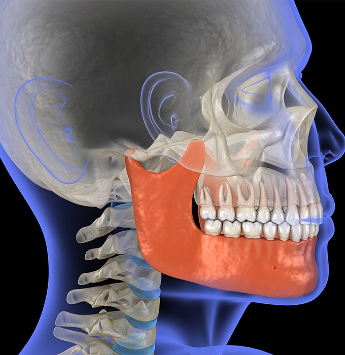 3 D animated jaw and skullbone used for T M J dysfunction diagnosis and treatment